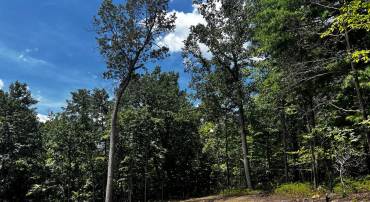 MARKHAM FARM RD, FRONT ROYAL, Virginia 22630, ,Land,For sale,MARKHAM FARM RD,VAWR2011858 MLS # VAWR2011858