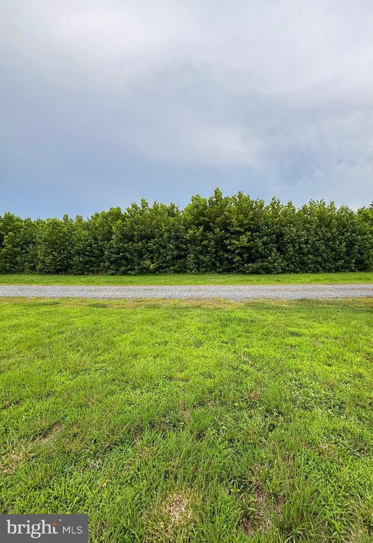 LOT 8 MARILOU LANE, COLONIAL BEACH, Virginia 22443, ,Land,For sale,LOT 8 MARILOU LANE,VAWE2009426 MLS # VAWE2009426