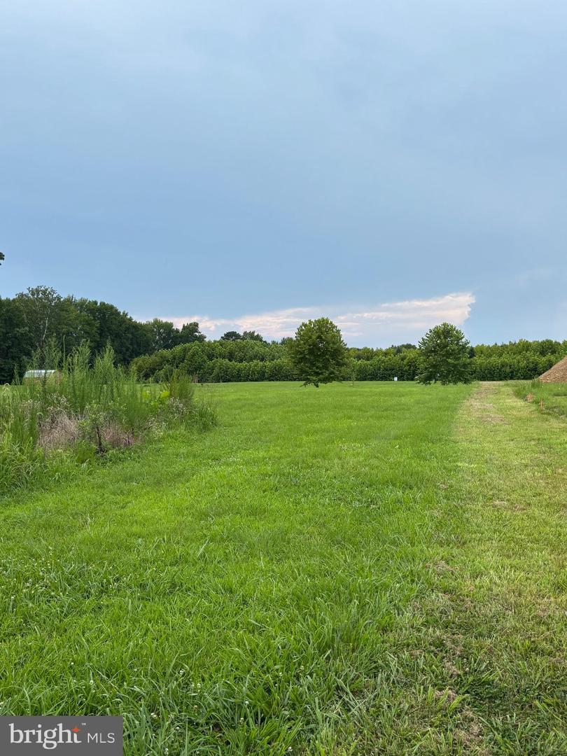 LOT 8 MARILOU LANE, COLONIAL BEACH, Virginia 22443, ,Land,For sale,LOT 8 MARILOU LANE,VAWE2009426 MLS # VAWE2009426
