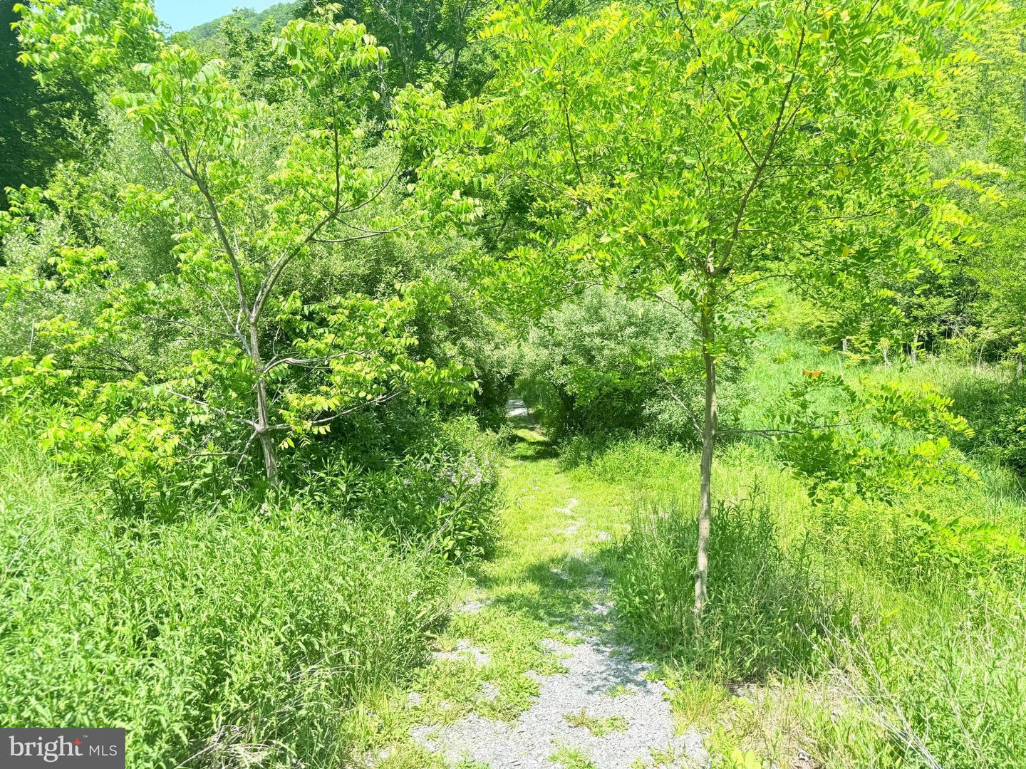 12509 SAM SNEAD HWY, WARM SPRINGS, Virginia 24484, 6 Bedrooms Bedrooms, 12 Rooms Rooms,3 BathroomsBathrooms,Residential,For sale,12509 SAM SNEAD HWY,VABT2000038 MLS # VABT2000038