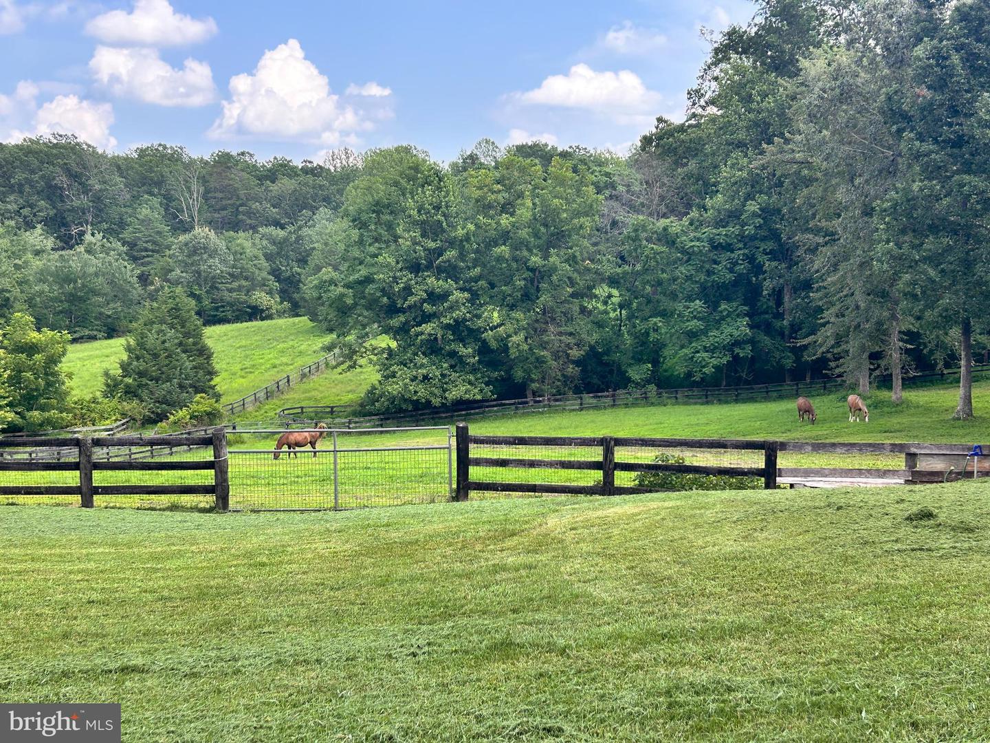 409 COOK MOUNTAIN DR, BRIGHTWOOD, Virginia 22715, 4 Bedrooms Bedrooms, ,3 BathroomsBathrooms,Residential,For sale,409 COOK MOUNTAIN DR,VAMA2002342 MLS # VAMA2002342