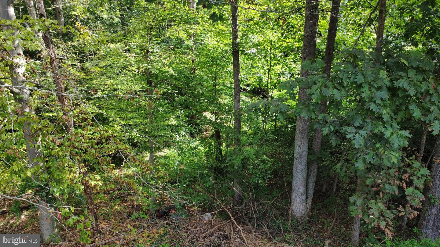 9406 BRENTSVILLE RD, MANASSAS, Virginia 20112, ,Land,For sale,9406 BRENTSVILLE RD,VAPW2099940 MLS # VAPW2099940