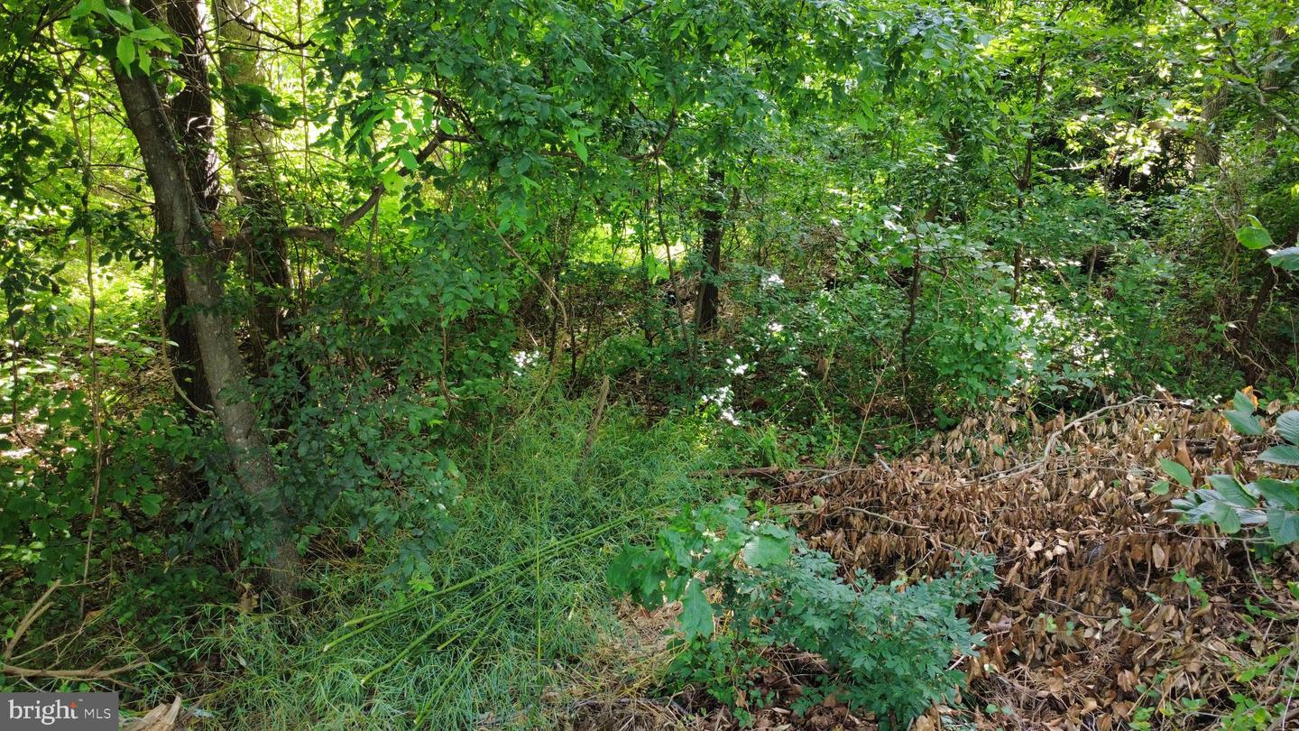 9406 BRENTSVILLE RD, MANASSAS, Virginia 20112, ,Land,For sale,9406 BRENTSVILLE RD,VAPW2099940 MLS # VAPW2099940
