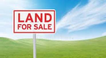 LOT 260 OAKMONT DR, GORDONSVILLE, Virginia 22942, ,Land,For sale,LOT 260 OAKMONT DR,VALA2008370 MLS # VALA2008370