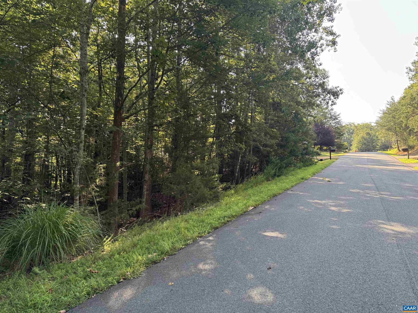 20 FLEETWOOD DR, PALMYRA, Virginia 22963, ,Land,For sale,20 FLEETWOOD DR,667336 MLS # 667336