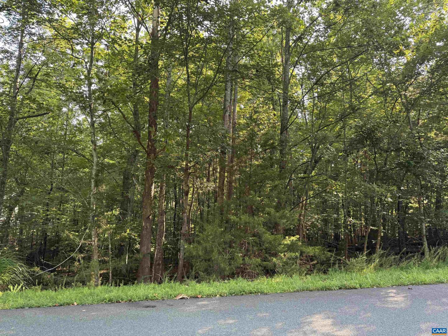 20 FLEETWOOD DR, PALMYRA, Virginia 22963, ,Land,For sale,20 FLEETWOOD DR,667336 MLS # 667336