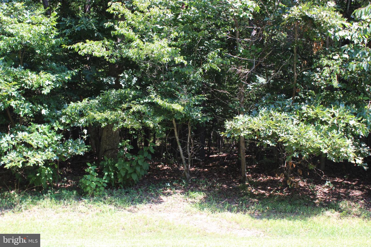 1851 MUNITY DR, GREENBACKVILLE, Virginia 23356, ,Land,For sale,1851 MUNITY DR,VAAC2002128 MLS # VAAC2002128