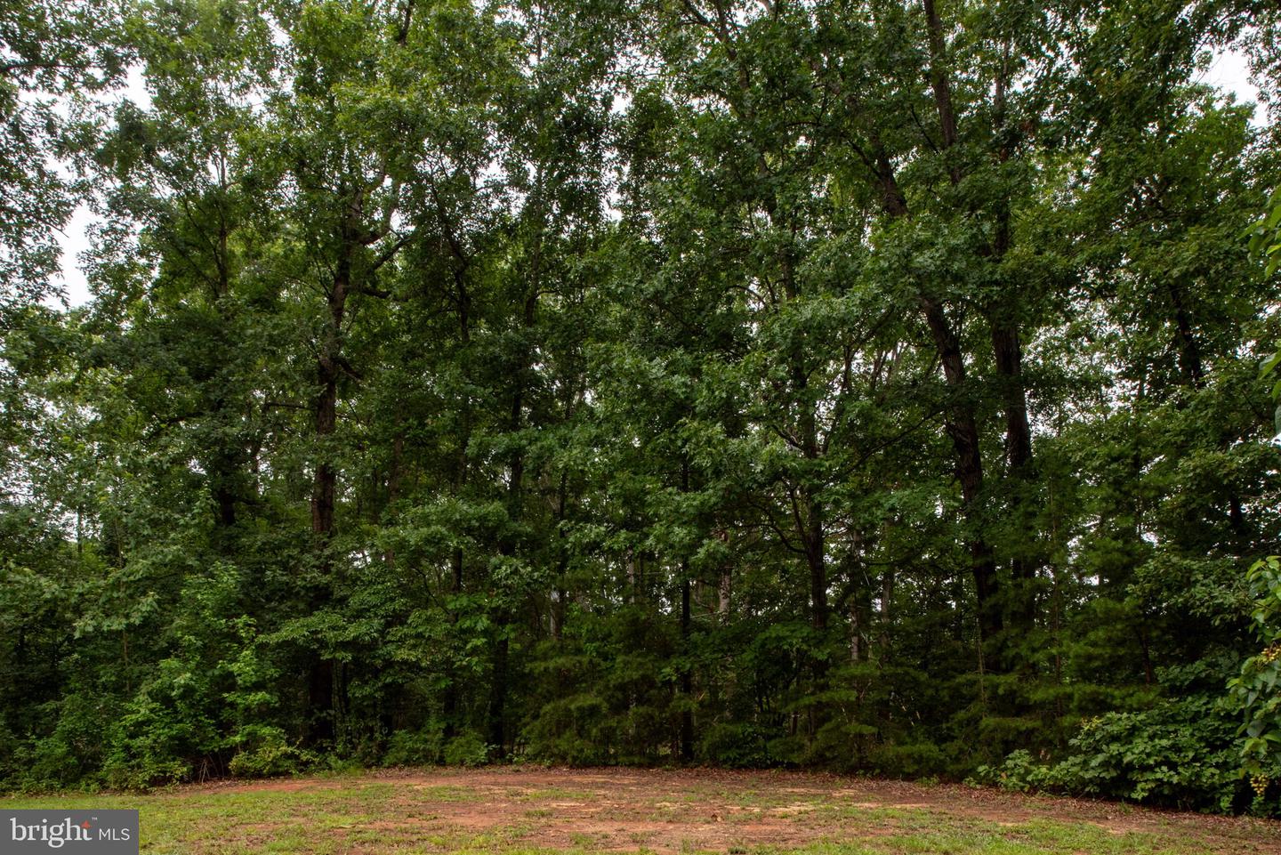 13520 5TH CORPS LN, FREDERICKSBURG, Virginia 22407, 4 Bedrooms Bedrooms, ,3 BathroomsBathrooms,Residential,For sale,13520 5TH CORPS LN,VASP2034438 MLS # VASP2034438
