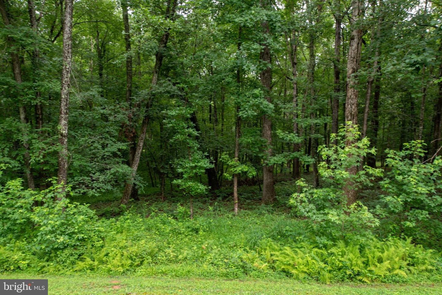 13520 5TH CORPS LN, FREDERICKSBURG, Virginia 22407, 4 Bedrooms Bedrooms, ,3 BathroomsBathrooms,Residential,For sale,13520 5TH CORPS LN,VASP2034438 MLS # VASP2034438
