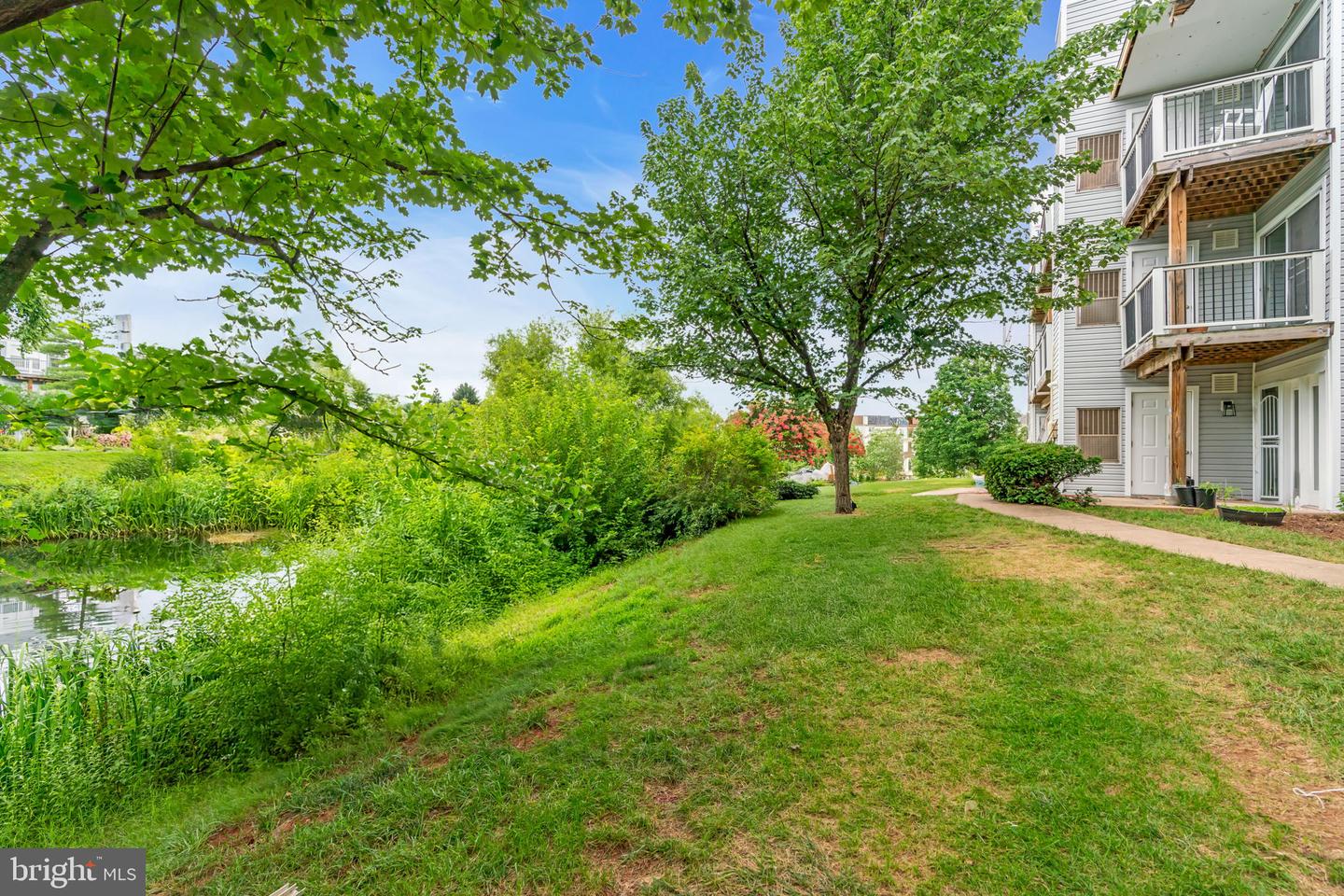 20593 CORNSTALK TER #101, ASHBURN, Virginia 20147, 1 Bedroom Bedrooms, ,1 BathroomBathrooms,Residential,For sale,20593 CORNSTALK TER #101,VALO2103540 MLS # VALO2103540