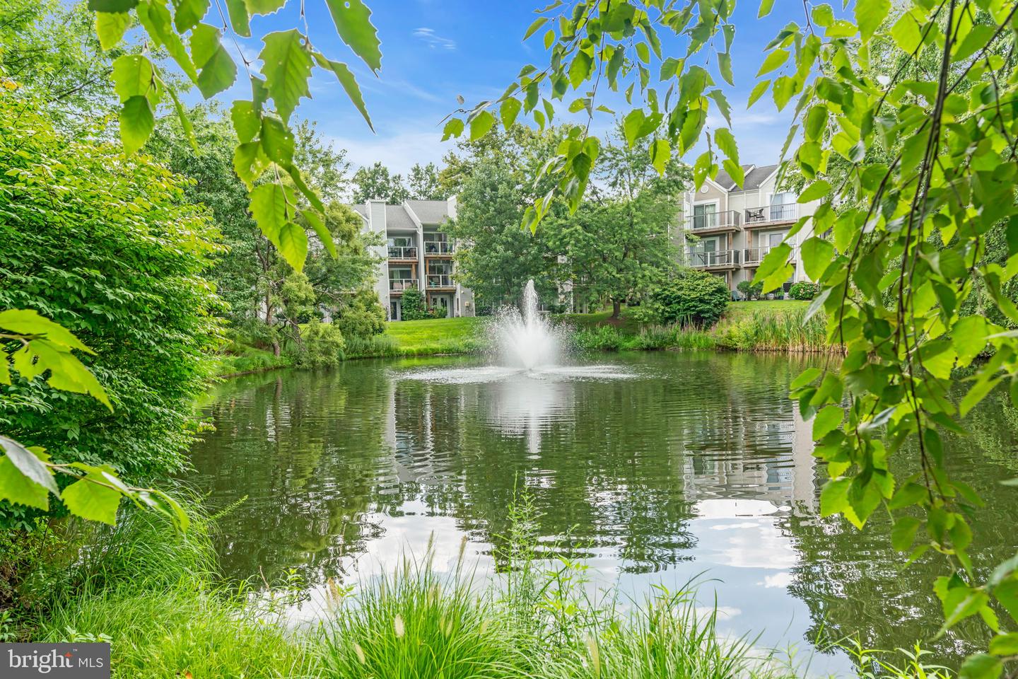 20593 CORNSTALK TER #101, ASHBURN, Virginia 20147, 1 Bedroom Bedrooms, ,1 BathroomBathrooms,Residential,For sale,20593 CORNSTALK TER #101,VALO2103540 MLS # VALO2103540