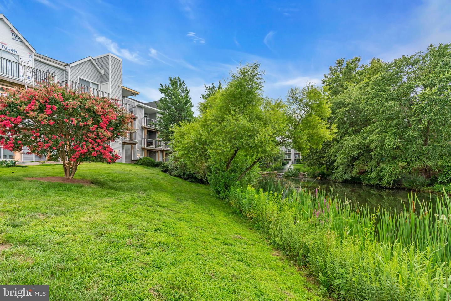 20593 CORNSTALK TER #101, ASHBURN, Virginia 20147, 1 Bedroom Bedrooms, ,1 BathroomBathrooms,Residential,For sale,20593 CORNSTALK TER #101,VALO2103540 MLS # VALO2103540