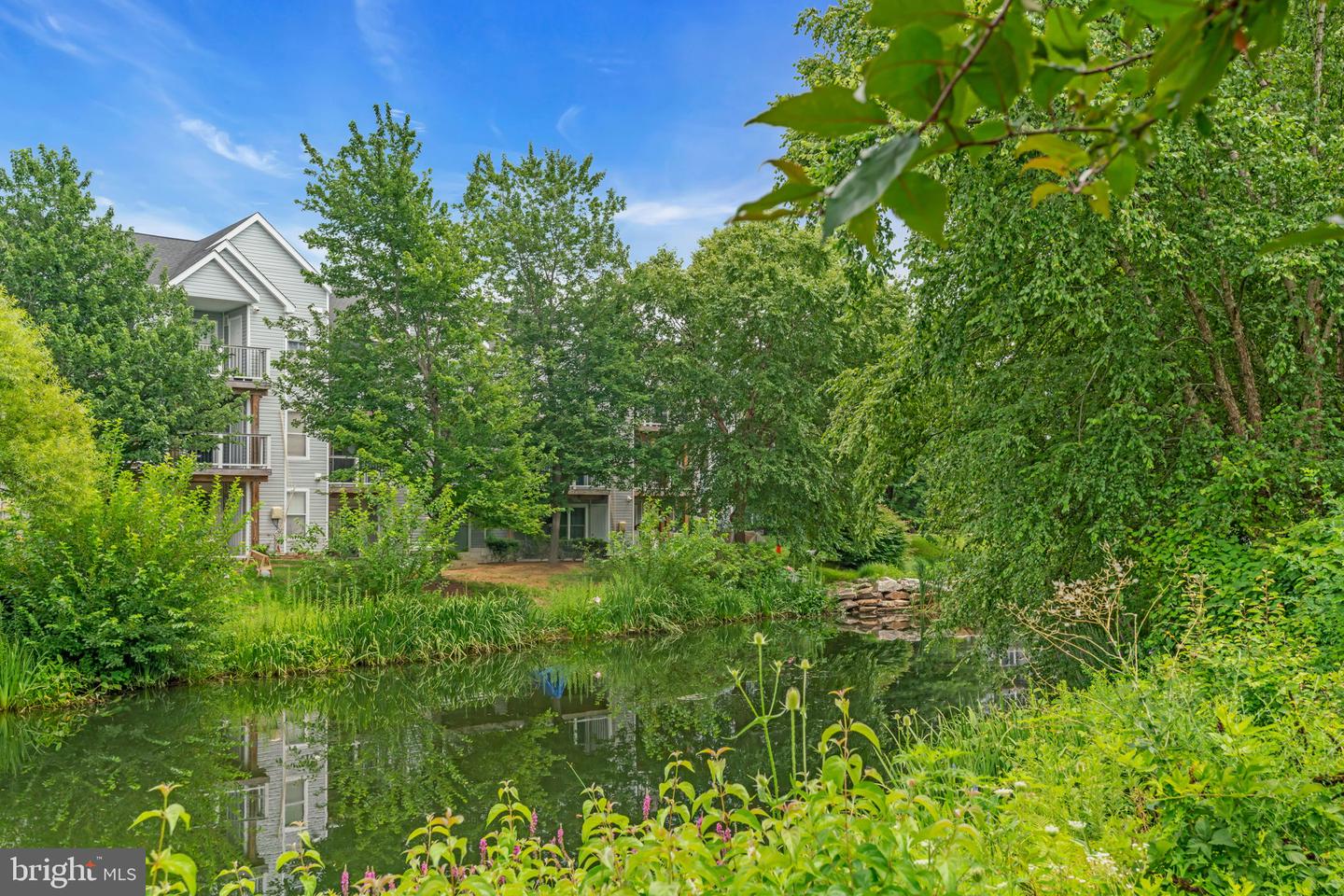 20593 CORNSTALK TER #101, ASHBURN, Virginia 20147, 1 Bedroom Bedrooms, ,1 BathroomBathrooms,Residential,For sale,20593 CORNSTALK TER #101,VALO2103540 MLS # VALO2103540
