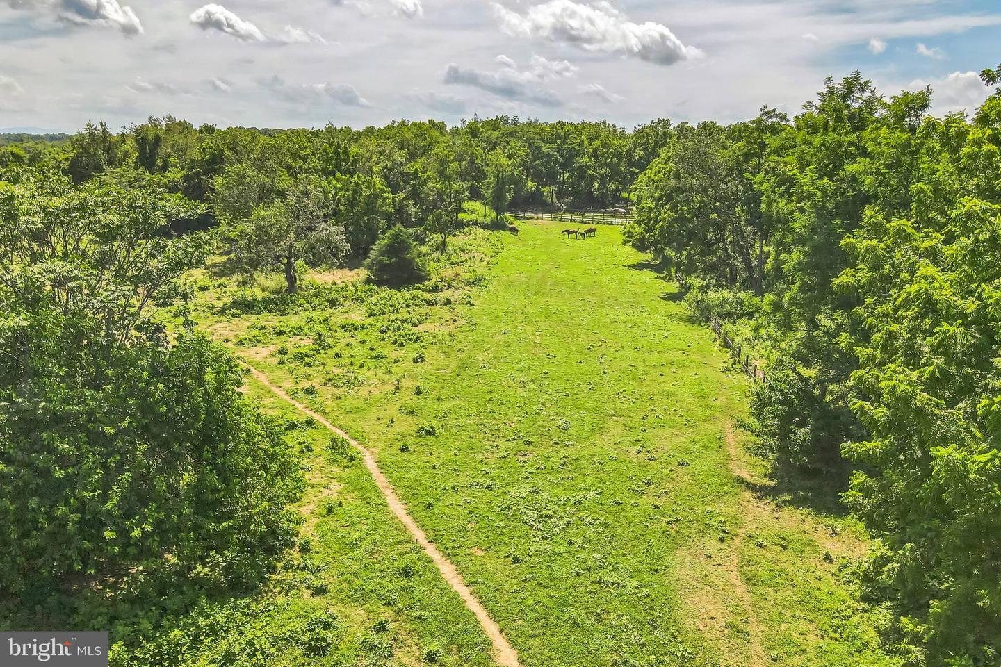 1683 WITHERS LARUE RD, BERRYVILLE, Virginia 22611, ,Land,For sale,1683 WITHERS LARUE RD,VACL2005934 MLS # VACL2005934