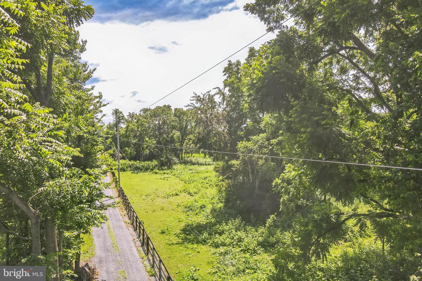 1683 WITHERS LARUE RD, BERRYVILLE, Virginia 22611, ,Land,For sale,1683 WITHERS LARUE RD,VACL2005934 MLS # VACL2005934