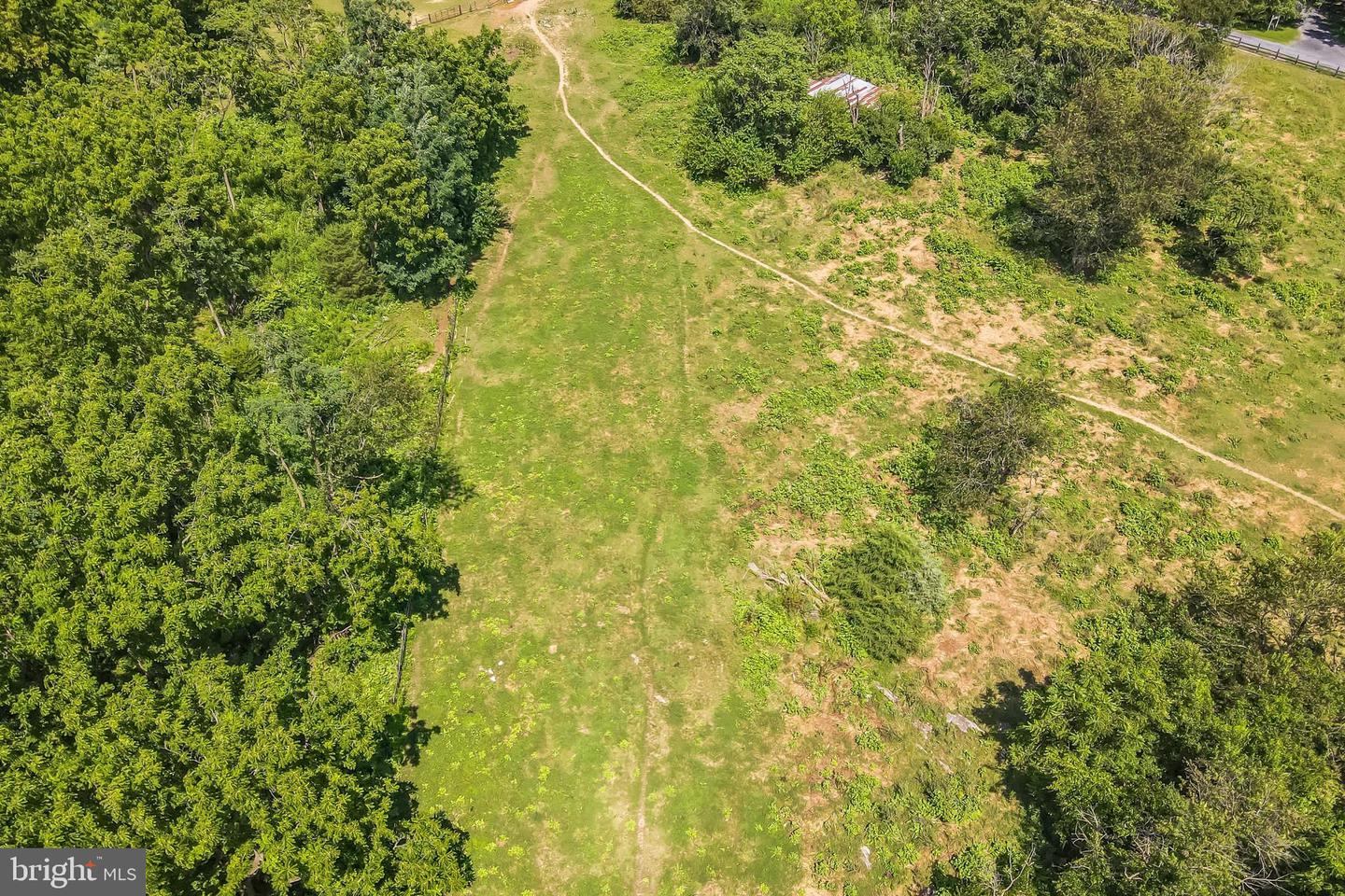 1683 WITHERS LARUE RD, BERRYVILLE, Virginia 22611, ,Land,For sale,1683 WITHERS LARUE RD,VACL2005934 MLS # VACL2005934