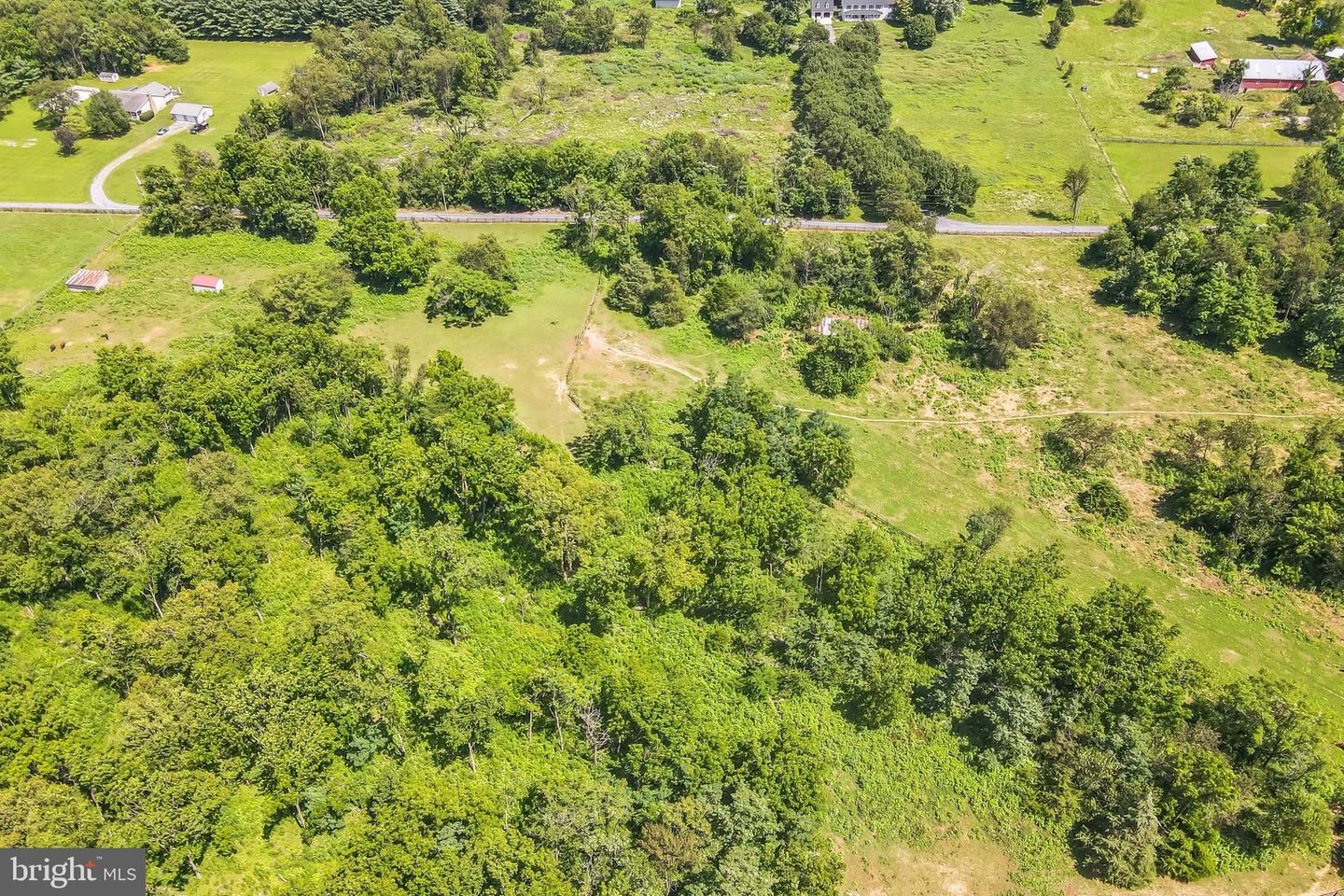 1683 WITHERS LARUE RD, BERRYVILLE, Virginia 22611, ,Land,For sale,1683 WITHERS LARUE RD,VACL2005934 MLS # VACL2005934