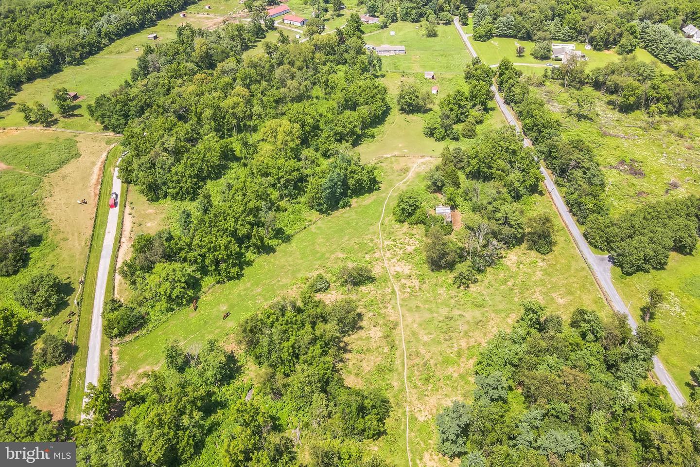 1683 WITHERS LARUE RD, BERRYVILLE, Virginia 22611, ,Land,For sale,1683 WITHERS LARUE RD,VACL2005934 MLS # VACL2005934