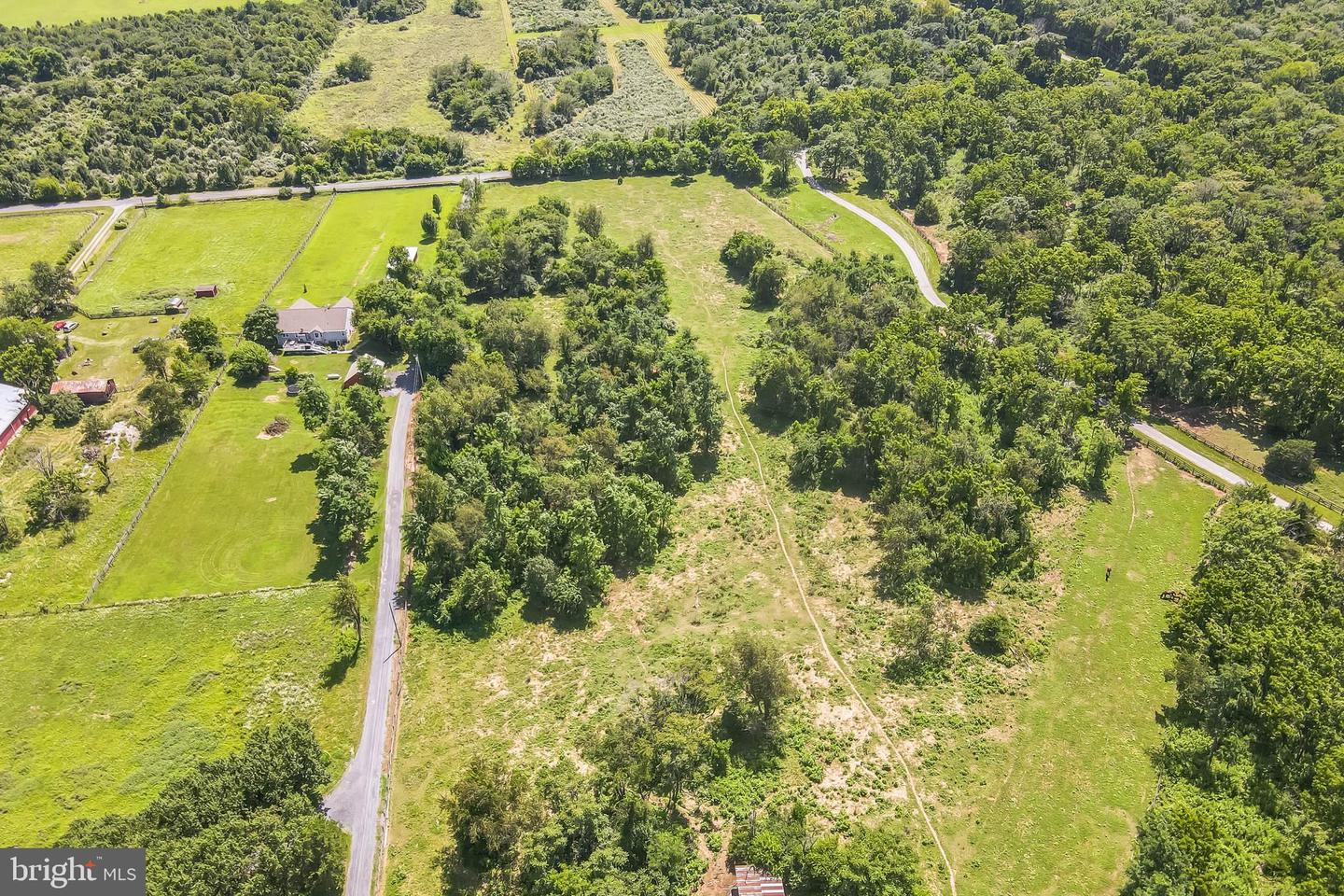 1683 WITHERS LARUE RD, BERRYVILLE, Virginia 22611, ,Land,For sale,1683 WITHERS LARUE RD,VACL2005934 MLS # VACL2005934