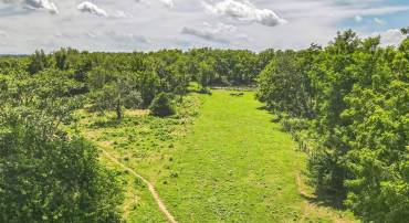 1683 WITHERS LARUE RD, BERRYVILLE, Virginia 22611, ,Land,For sale,1683 WITHERS LARUE RD,VACL2005934 MLS # VACL2005934