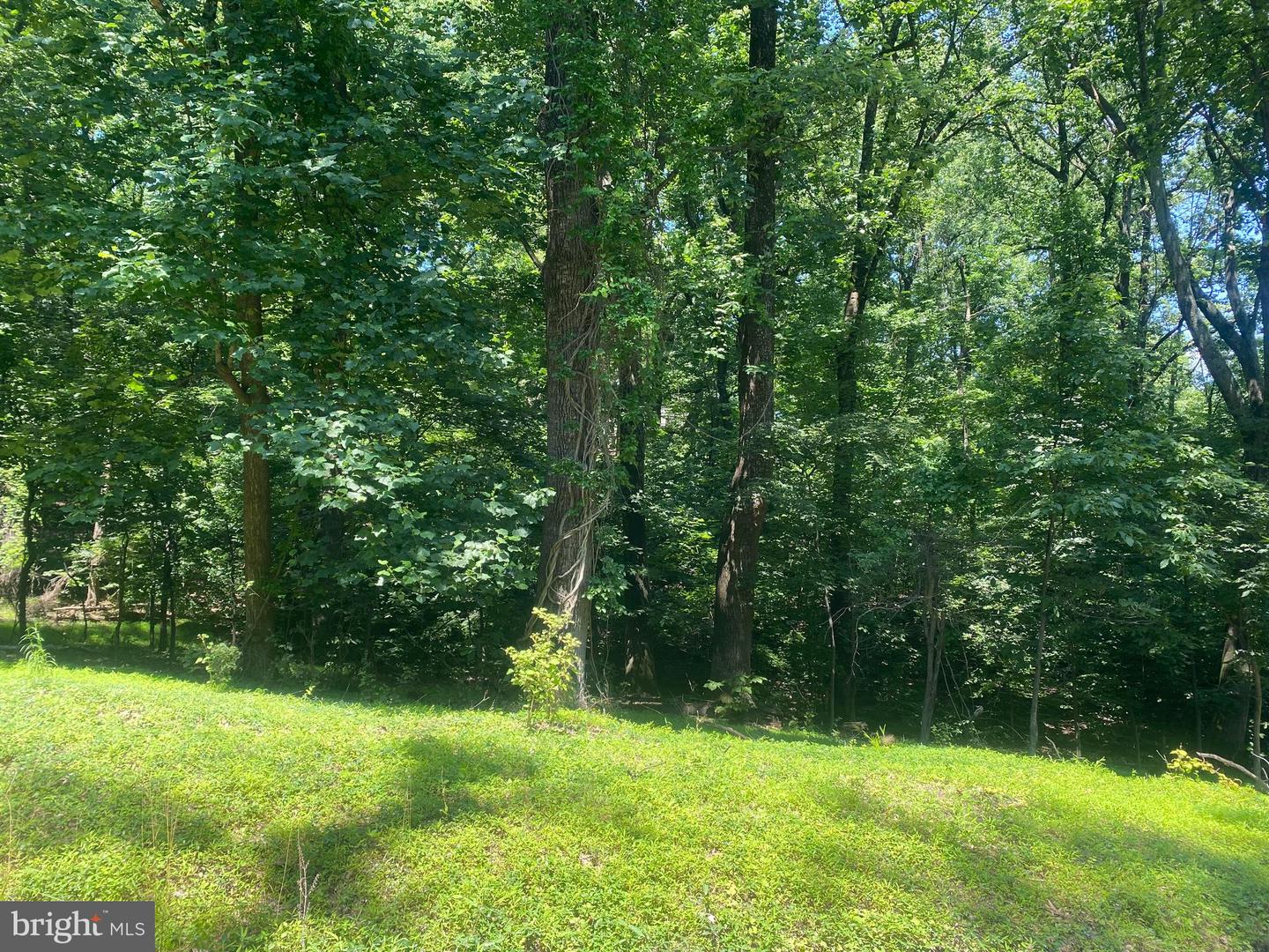LOT 17A1 TIMBER LN, BLUEMONT, Virginia 20135, ,Land,For sale,LOT 17A1 TIMBER LN,VACL2005936 MLS # VACL2005936