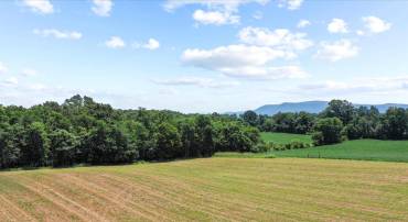 OLD GRADE RD, STRASBURG, Virginia 22657, ,Land,For sale,OLD GRADE RD,VASH2012138 MLS # VASH2012138