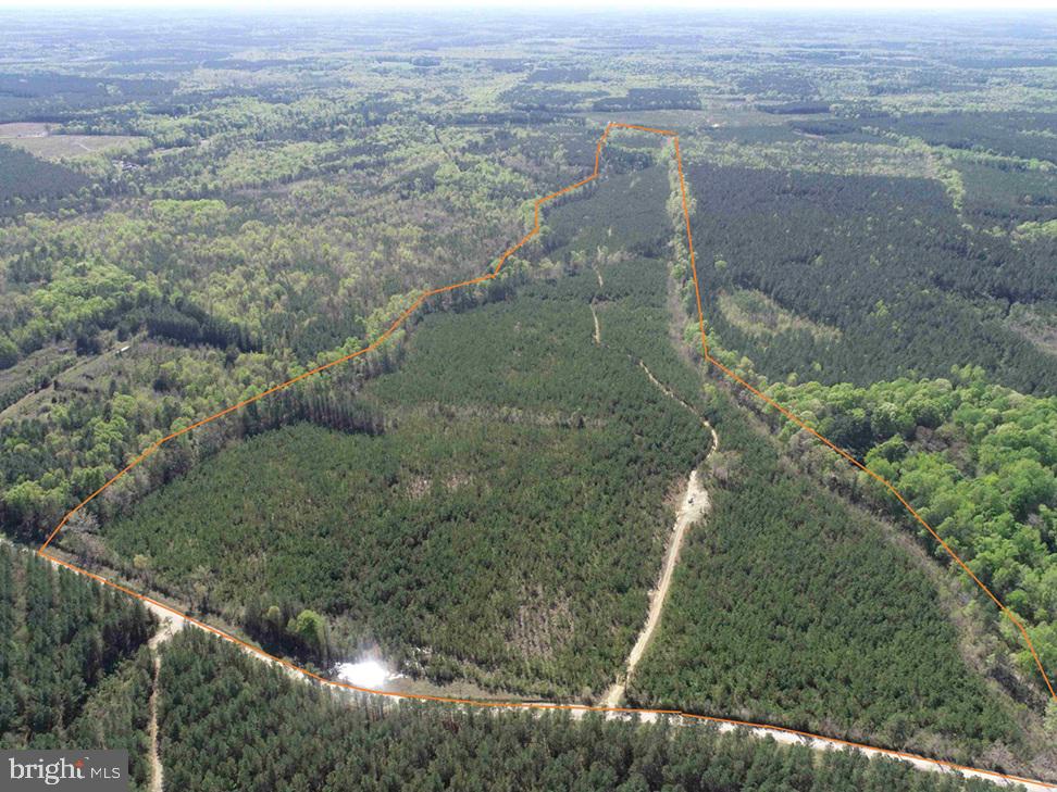 SHIPPING ROAD (TRACT: 7279 SVC), DINWIDDIE, Virginia 23841, ,Farm,For sale,SHIPPING ROAD (TRACT: 7279 SVC),VADW2000048 MLS # VADW2000048
