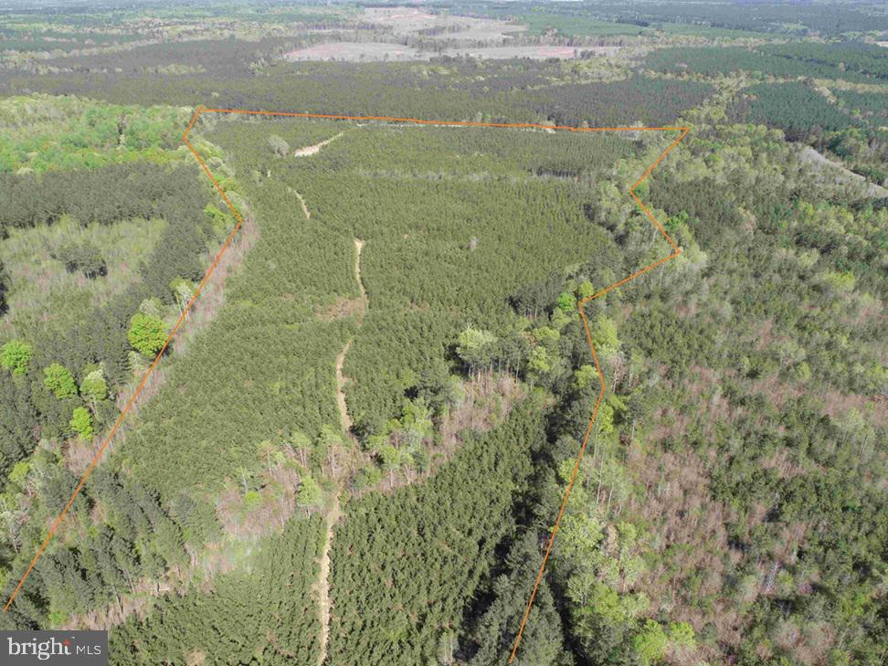SHIPPING ROAD (TRACT: 7279 SVC), DINWIDDIE, Virginia 23841, ,Farm,For sale,SHIPPING ROAD (TRACT: 7279 SVC),VADW2000048 MLS # VADW2000048