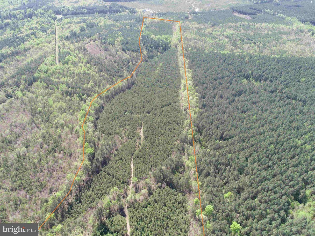 SHIPPING ROAD (TRACT: 7279 SVC), DINWIDDIE, Virginia 23841, ,Farm,For sale,SHIPPING ROAD (TRACT: 7279 SVC),VADW2000048 MLS # VADW2000048