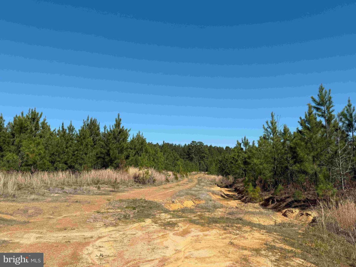 SHIPPING ROAD (TRACT: 7279 SVC), DINWIDDIE, Virginia 23841, ,Farm,For sale,SHIPPING ROAD (TRACT: 7279 SVC),VADW2000048 MLS # VADW2000048