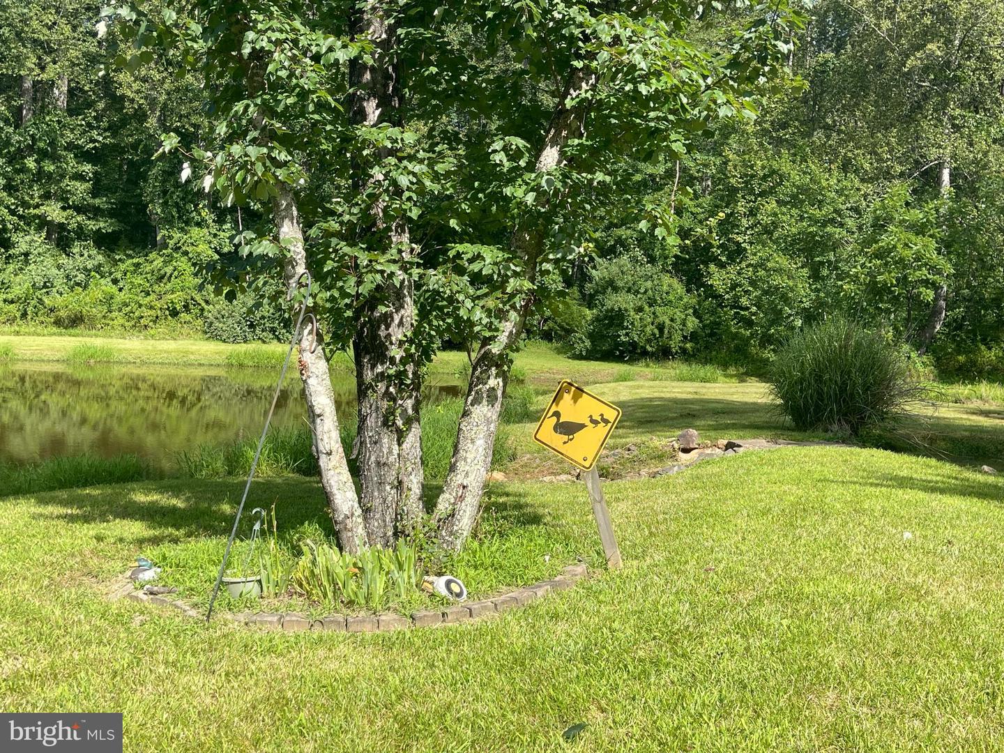 18299 RAGTOP RD, JEFFERSONTON, Virginia 22724, 4 Bedrooms Bedrooms, ,3 BathroomsBathrooms,Residential,For sale,18299 RAGTOP RD,VACU2010928 MLS # VACU2010928