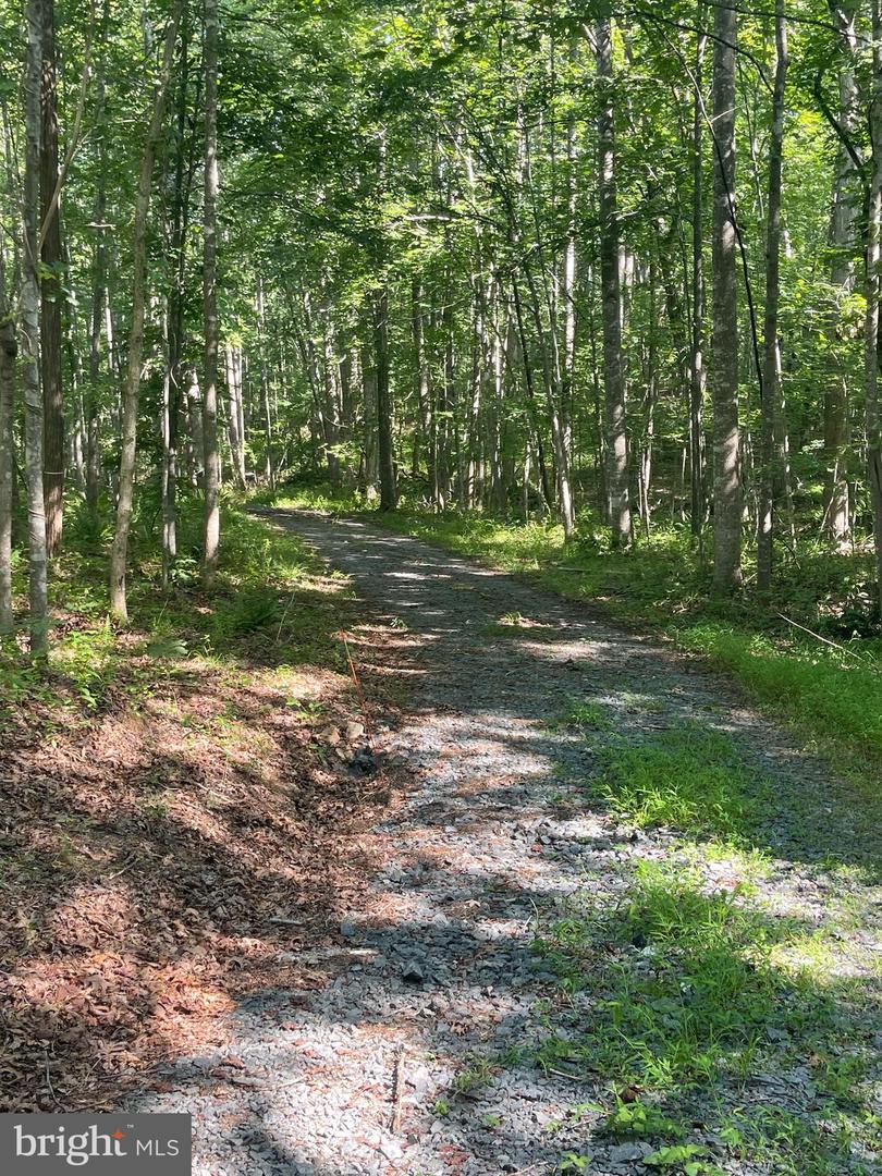 18299 RAGTOP RD, JEFFERSONTON, Virginia 22724, 4 Bedrooms Bedrooms, ,3 BathroomsBathrooms,Residential,For sale,18299 RAGTOP RD,VACU2010928 MLS # VACU2010928