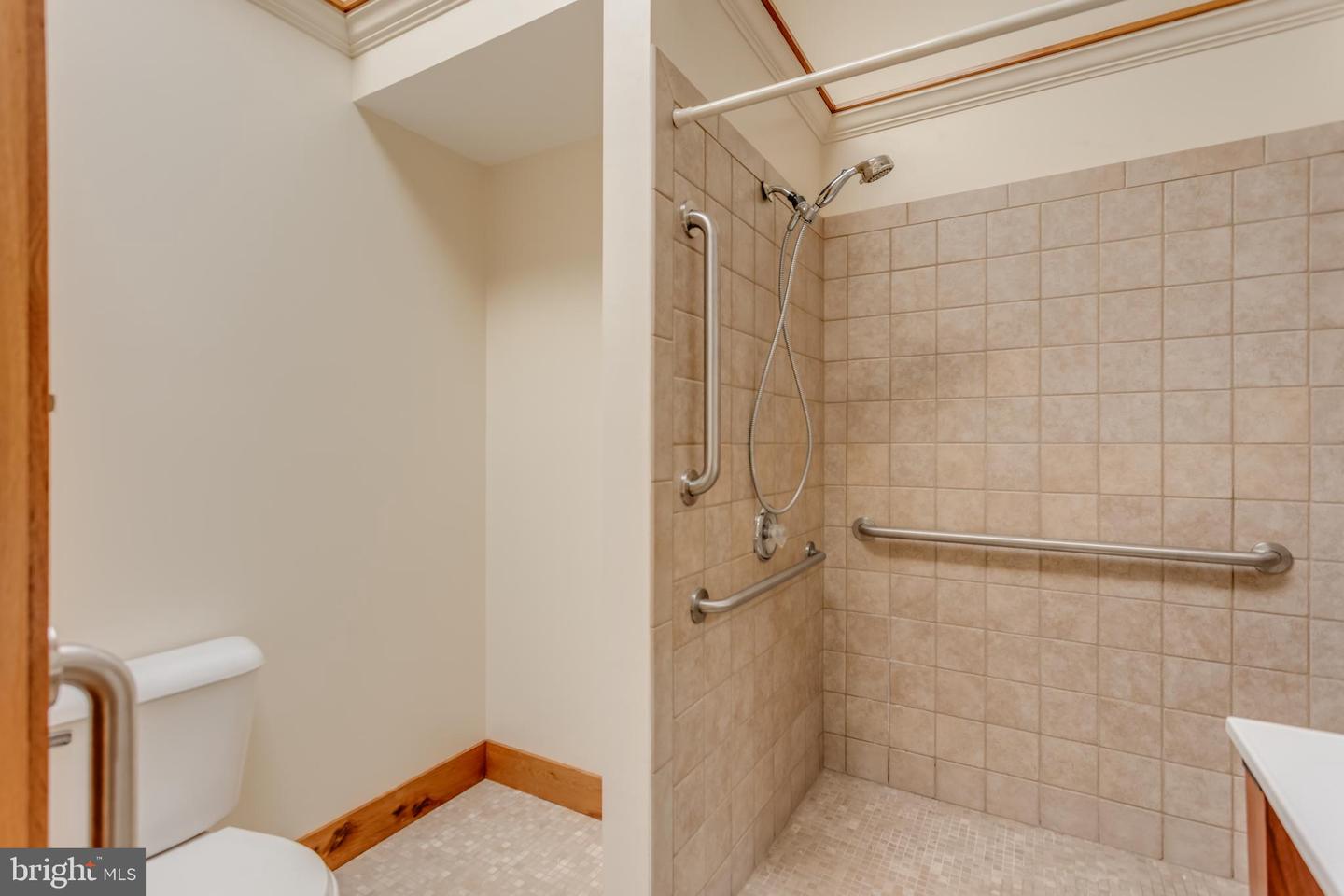 218 TREADWELL ST, BERRYVILLE, Virginia 22611, 5 Bedrooms Bedrooms, ,5 BathroomsBathrooms,Residential,For sale,218 TREADWELL ST,VACL2003898 MLS # VACL2003898
