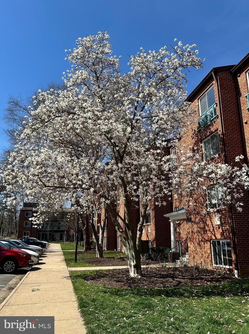 11804 BRETON CT #22C, RESTON, Virginia 20191, 2 Bedrooms Bedrooms, 7 Rooms Rooms,1 BathroomBathrooms,Residential,For sale,11804 BRETON CT #22C,VAFX2258342 MLS # VAFX2258342
