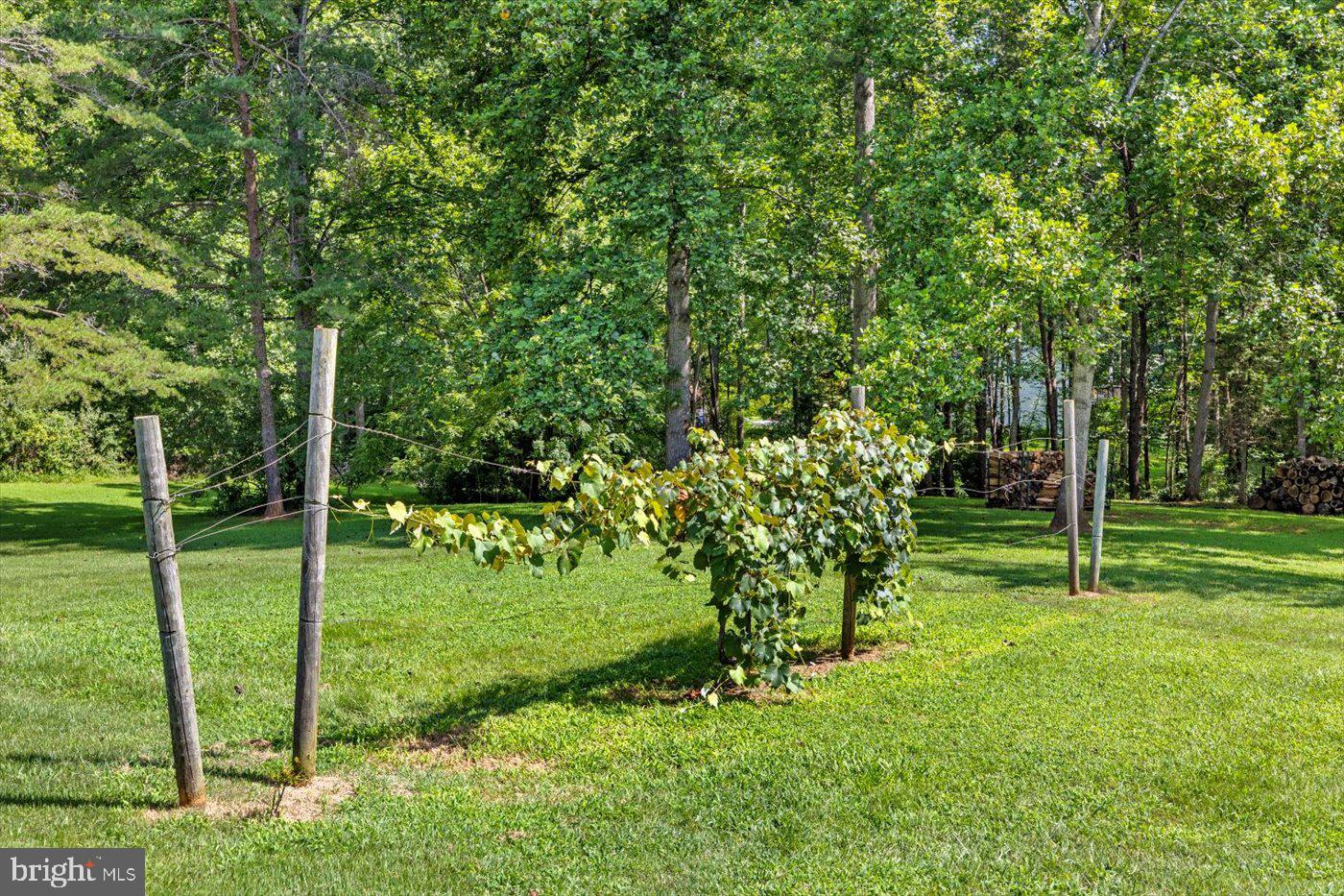 108 TACKETTS MILL RD, STAFFORD, Virginia 22556, 3 Bedrooms Bedrooms, ,1 BathroomBathrooms,Residential,For sale,108 TACKETTS MILL RD,VAST2041184 MLS # VAST2041184