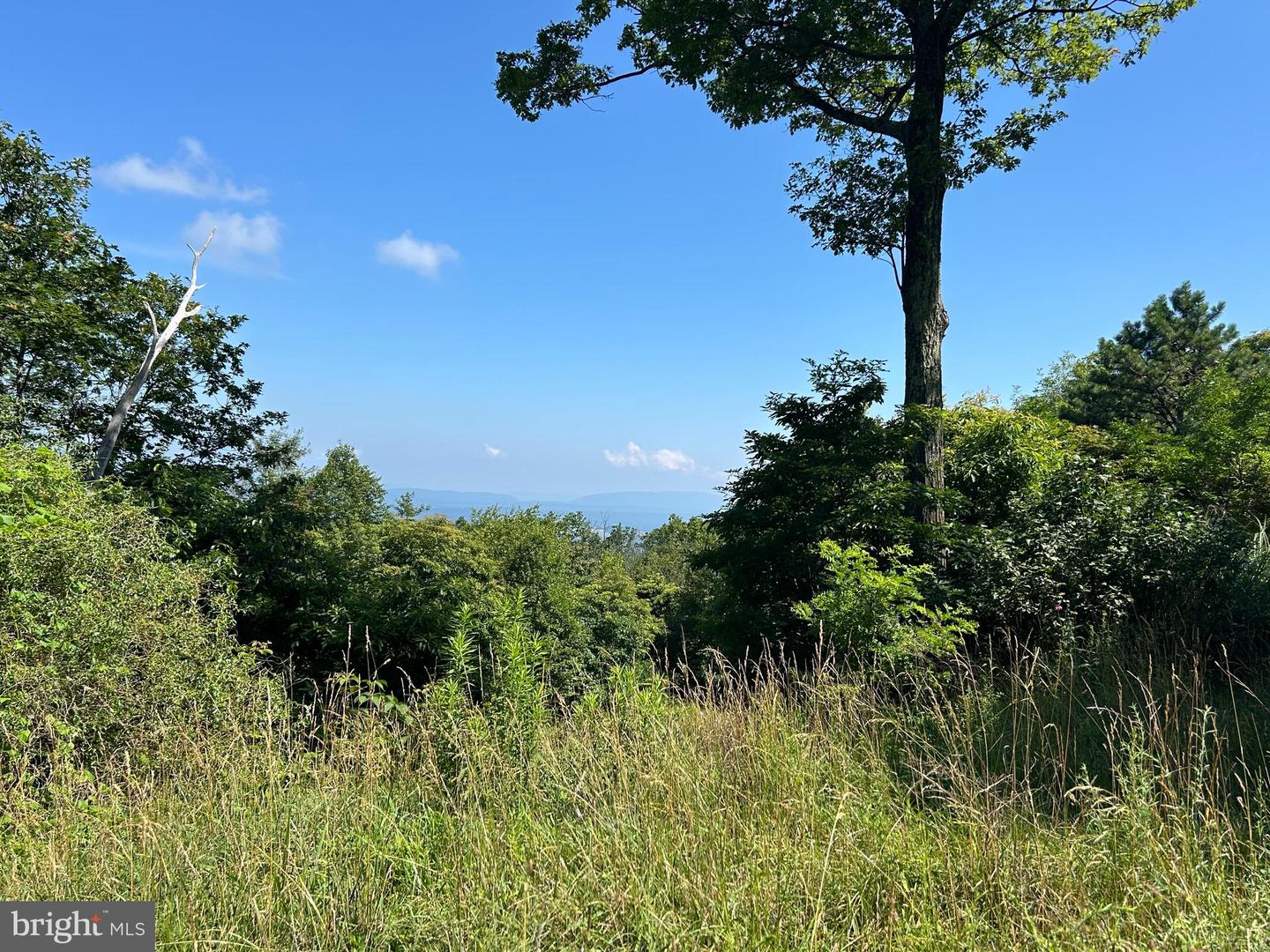 951 BOBCAT TRL, WINCHESTER, Virginia 22602, ,Land,For sale,951 BOBCAT TRL,VAFV2035292 MLS # VAFV2035292