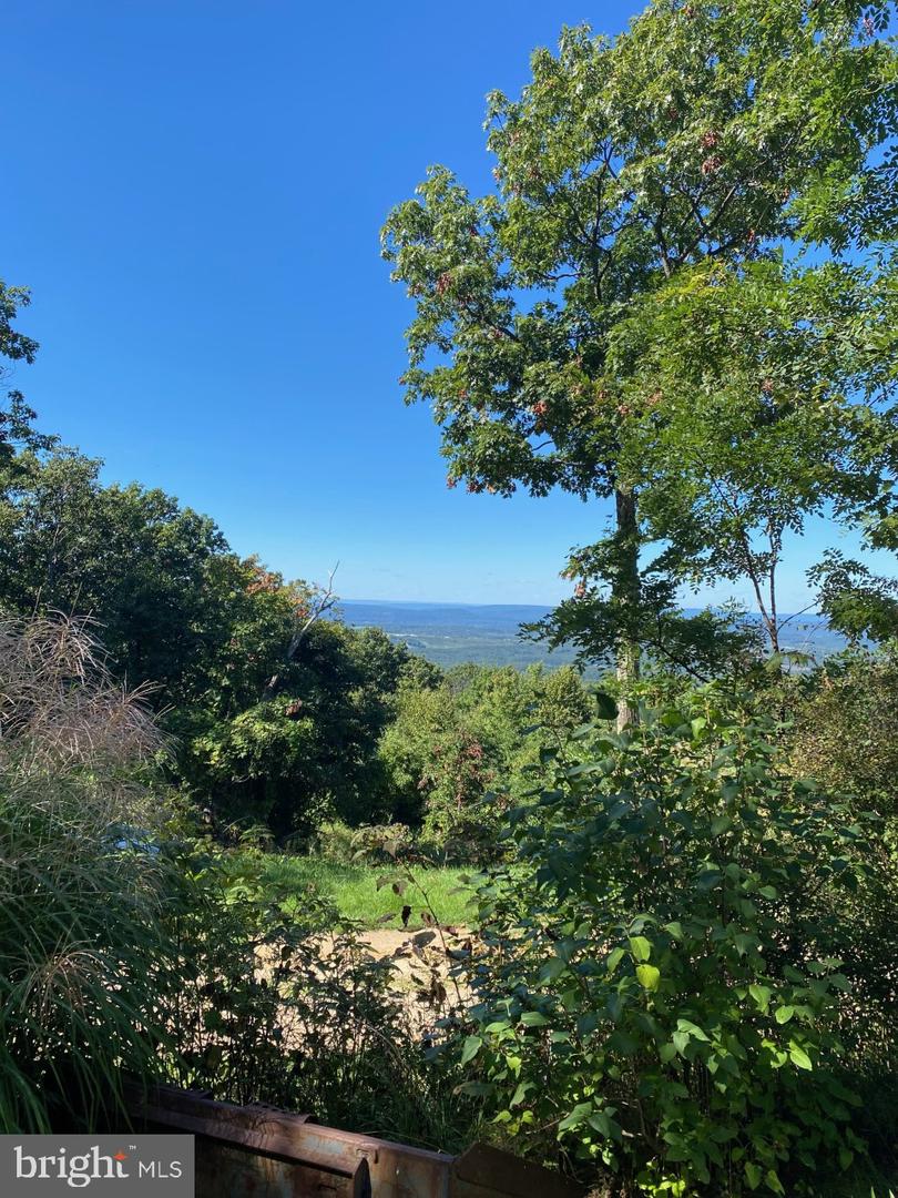 951 BOBCAT TRL, WINCHESTER, Virginia 22602, ,Land,For sale,951 BOBCAT TRL,VAFV2035292 MLS # VAFV2035292