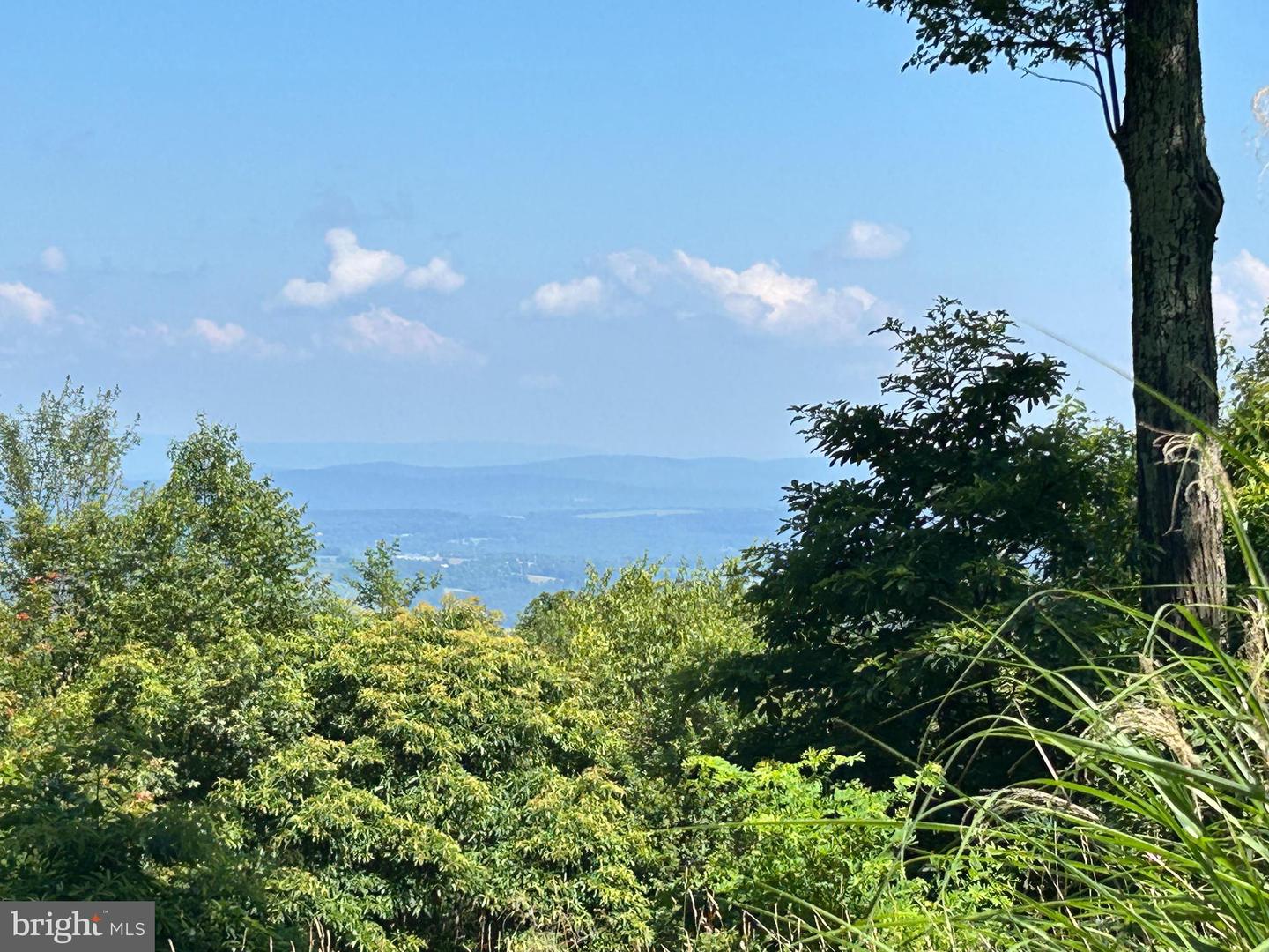 951 BOBCAT TRL, WINCHESTER, Virginia 22602, ,Land,For sale,951 BOBCAT TRL,VAFV2035292 MLS # VAFV2035292