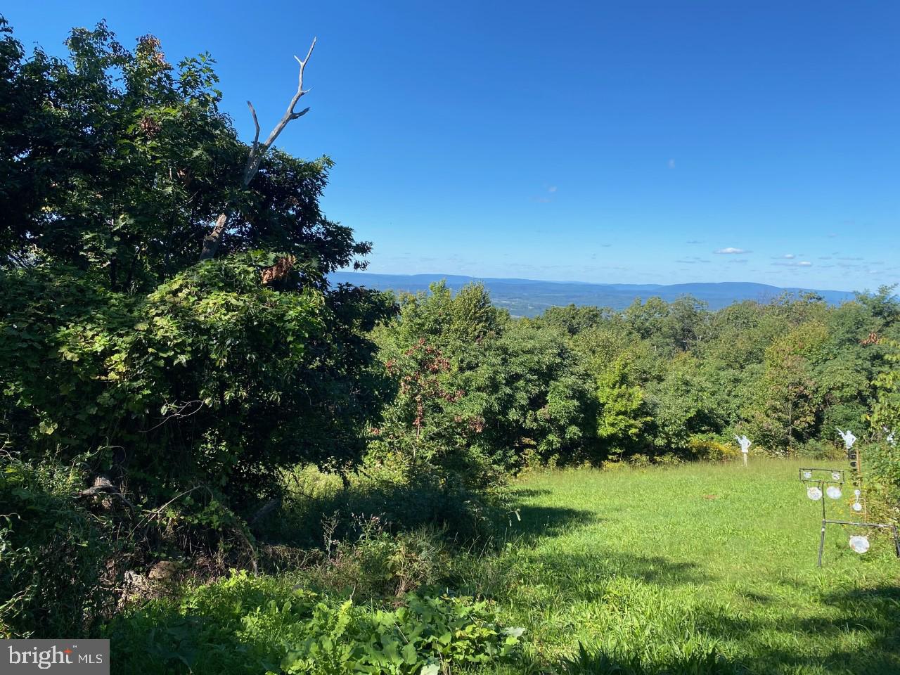 951 BOBCAT TRL, WINCHESTER, Virginia 22602, ,Land,For sale,951 BOBCAT TRL,VAFV2035292 MLS # VAFV2035292