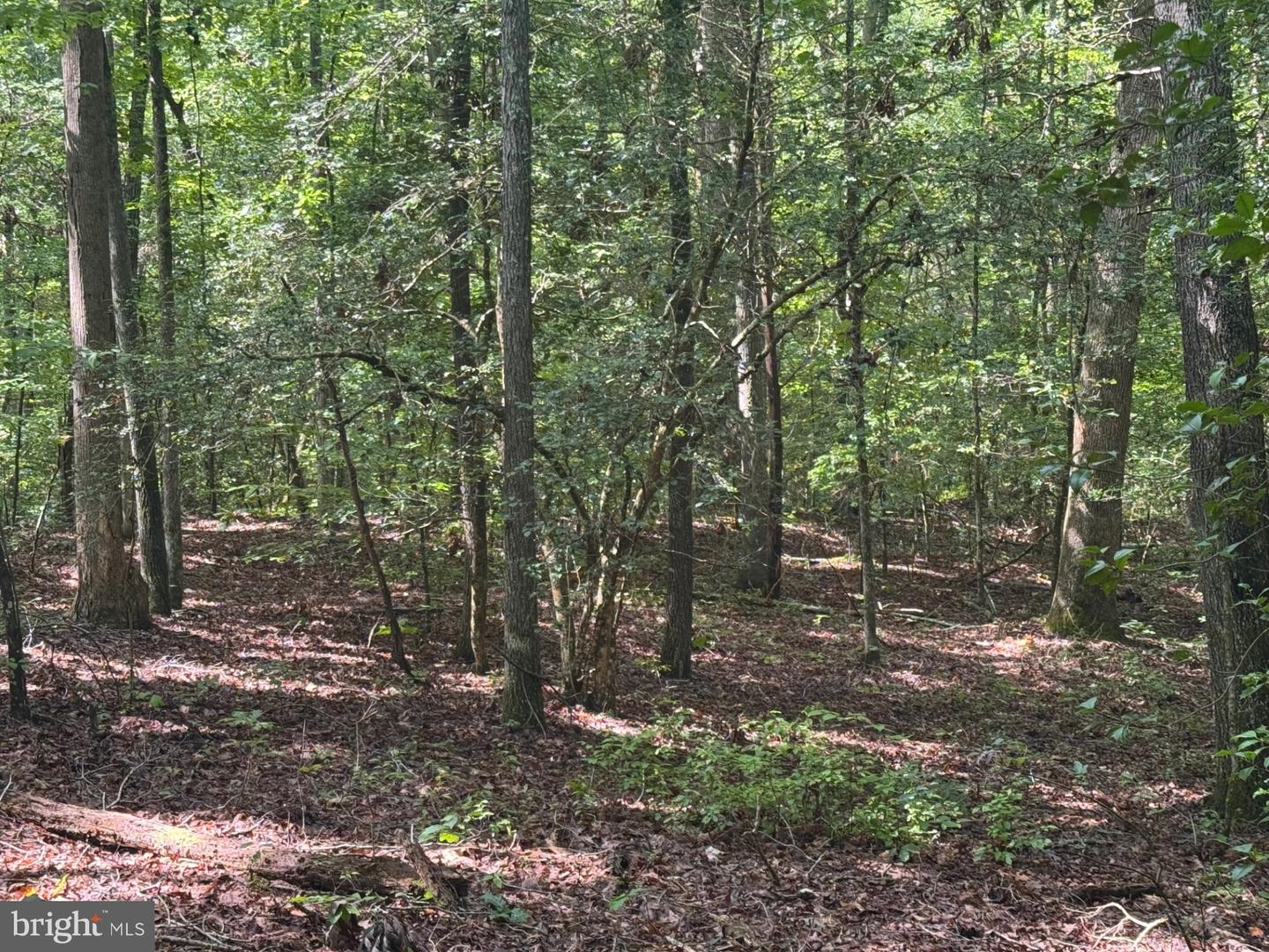 34 PURKINS CT, TAPPAHANNOCK, Virginia 22560, ,Land,For sale,34 PURKINS CT,VAES2000950 MLS # VAES2000950
