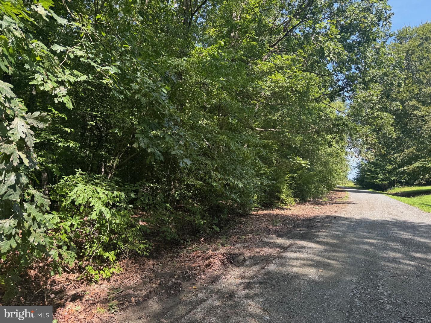 34 PURKINS CT, TAPPAHANNOCK, Virginia 22560, ,Land,For sale,34 PURKINS CT,VAES2000950 MLS # VAES2000950