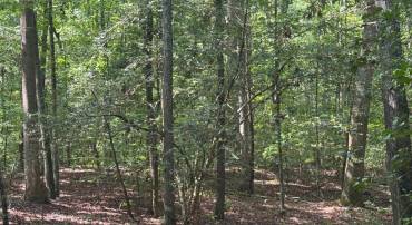 34 PURKINS CT, TAPPAHANNOCK, Virginia 22560, ,Land,For sale,34 PURKINS CT,VAES2000950 MLS # VAES2000950