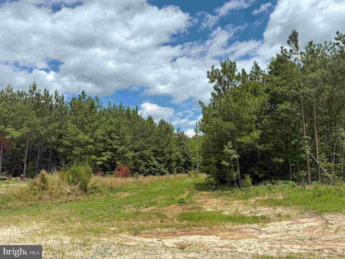 TWIN BRIDGE ROAD (RT. 623) (TRACT: BK3233-1), GREEN BAY, Virginia 23942, ,Farm,For sale,TWIN BRIDGE ROAD (RT. 623) (TRACT: BK3233-1),VAPE2000098 MLS # VAPE2000098