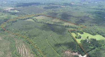 TWIN BRIDGE ROAD (RT. 623) (TRACT: BK3233-1), GREEN BAY, Virginia 23942, ,Farm,For sale,TWIN BRIDGE ROAD (RT. 623) (TRACT: BK3233-1),VAPE2000098 MLS # VAPE2000098