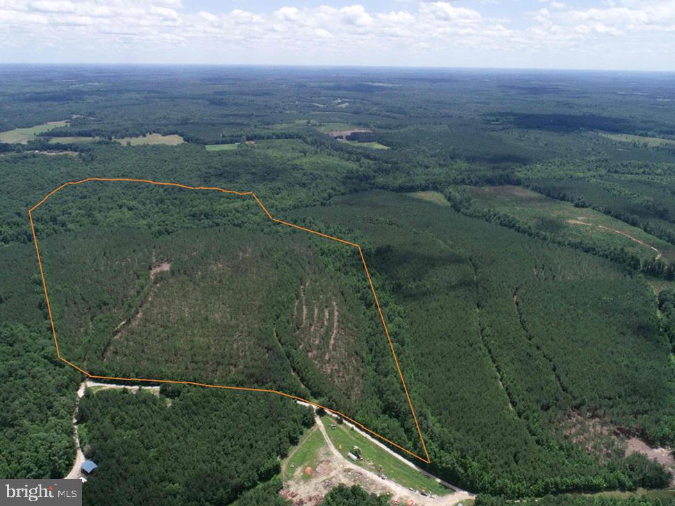 TWIN BRIDGE ROAD (RT. 623) (TRACT: BK3233-2), GREEN BAY, Virginia 23942, ,Farm,For sale,TWIN BRIDGE ROAD (RT. 623) (TRACT: BK3233-2),VAPE2000100 MLS # VAPE2000100