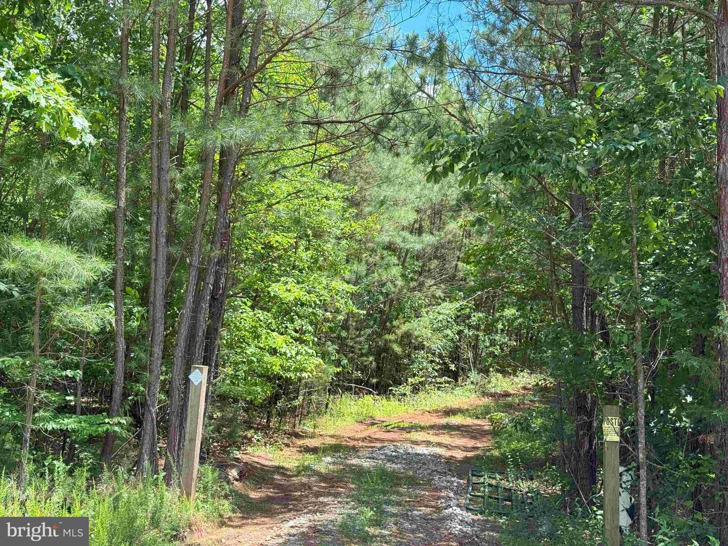 TWIN BRIDGE ROAD (RT. 623) (TRACT: BK3233-2), GREEN BAY, Virginia 23942, ,Farm,For sale,TWIN BRIDGE ROAD (RT. 623) (TRACT: BK3233-2),VAPE2000100 MLS # VAPE2000100