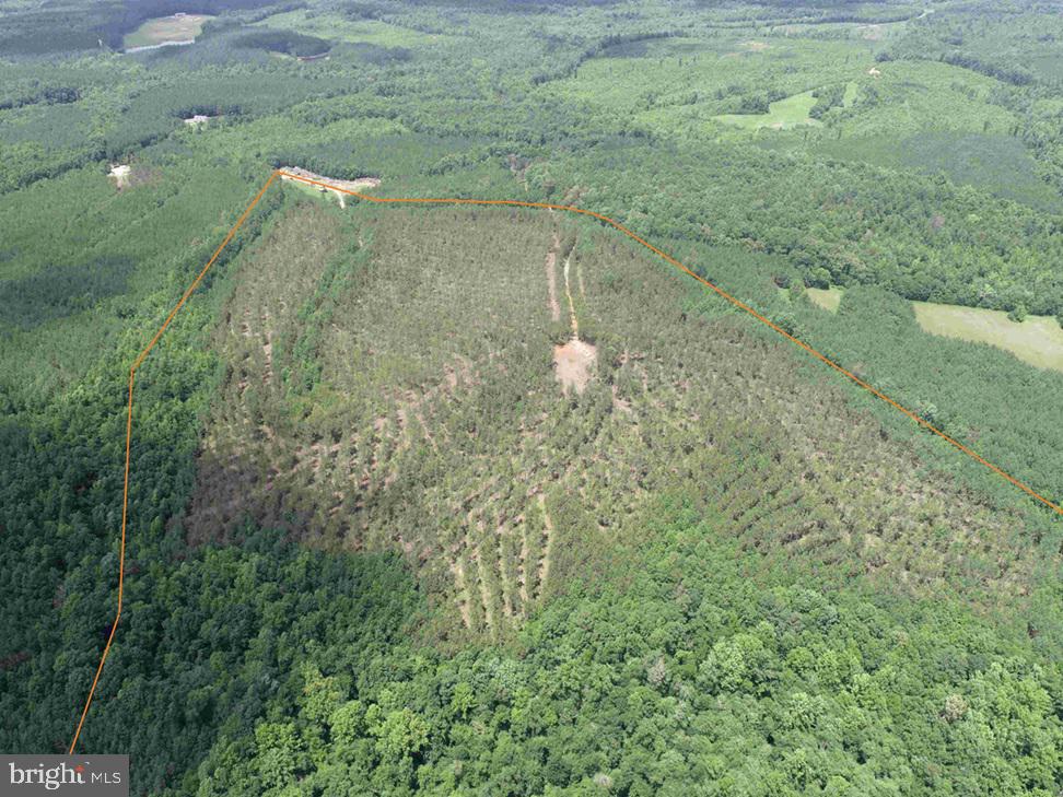 TWIN BRIDGE ROAD (RT. 623) (TRACT: BK3233-2), GREEN BAY, Virginia 23942, ,Farm,For sale,TWIN BRIDGE ROAD (RT. 623) (TRACT: BK3233-2),VAPE2000100 MLS # VAPE2000100