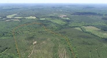 TWIN BRIDGE ROAD (RT. 623) (TRACT: BK3233-2), GREEN BAY, Virginia 23942, ,Farm,For sale,TWIN BRIDGE ROAD (RT. 623) (TRACT: BK3233-2),VAPE2000100 MLS # VAPE2000100