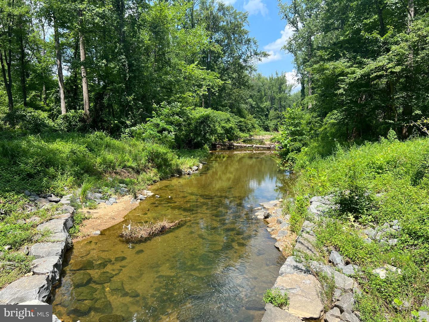 1294 SCOTTS RUN RD, MCLEAN, Virginia 22102, 6 Bedrooms Bedrooms, ,5 BathroomsBathrooms,Residential,For sale,1294 SCOTTS RUN RD,VAFX2252506 MLS # VAFX2252506