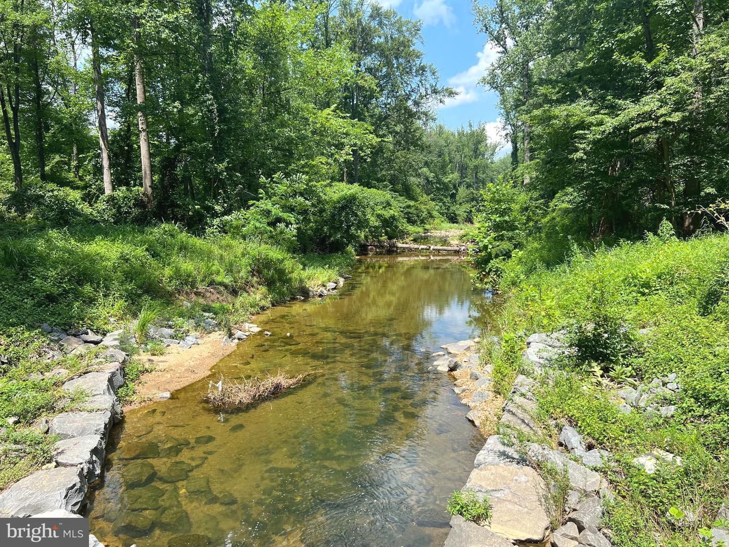 1294 SCOTTS RUN RD, MCLEAN, Virginia 22102, 6 Bedrooms Bedrooms, ,5 BathroomsBathrooms,Residential,For sale,1294 SCOTTS RUN RD,VAFX2252506 MLS # VAFX2252506